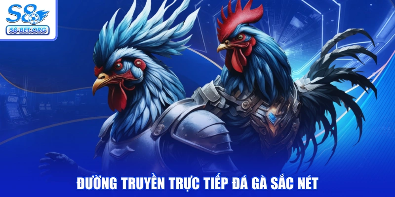 Đường truyền trực tiếp đá gà sắc nét