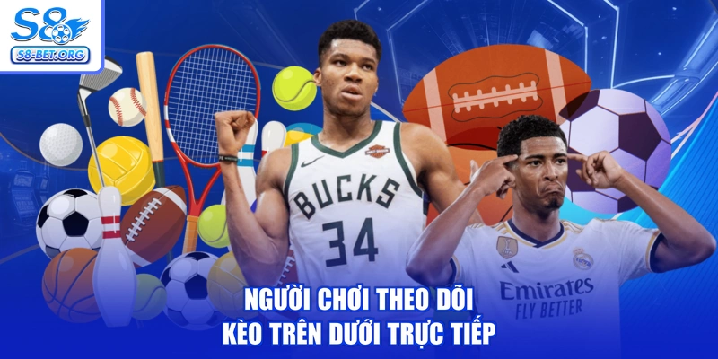 Người chơi theo dõi kèo trên dưới trực tiếp